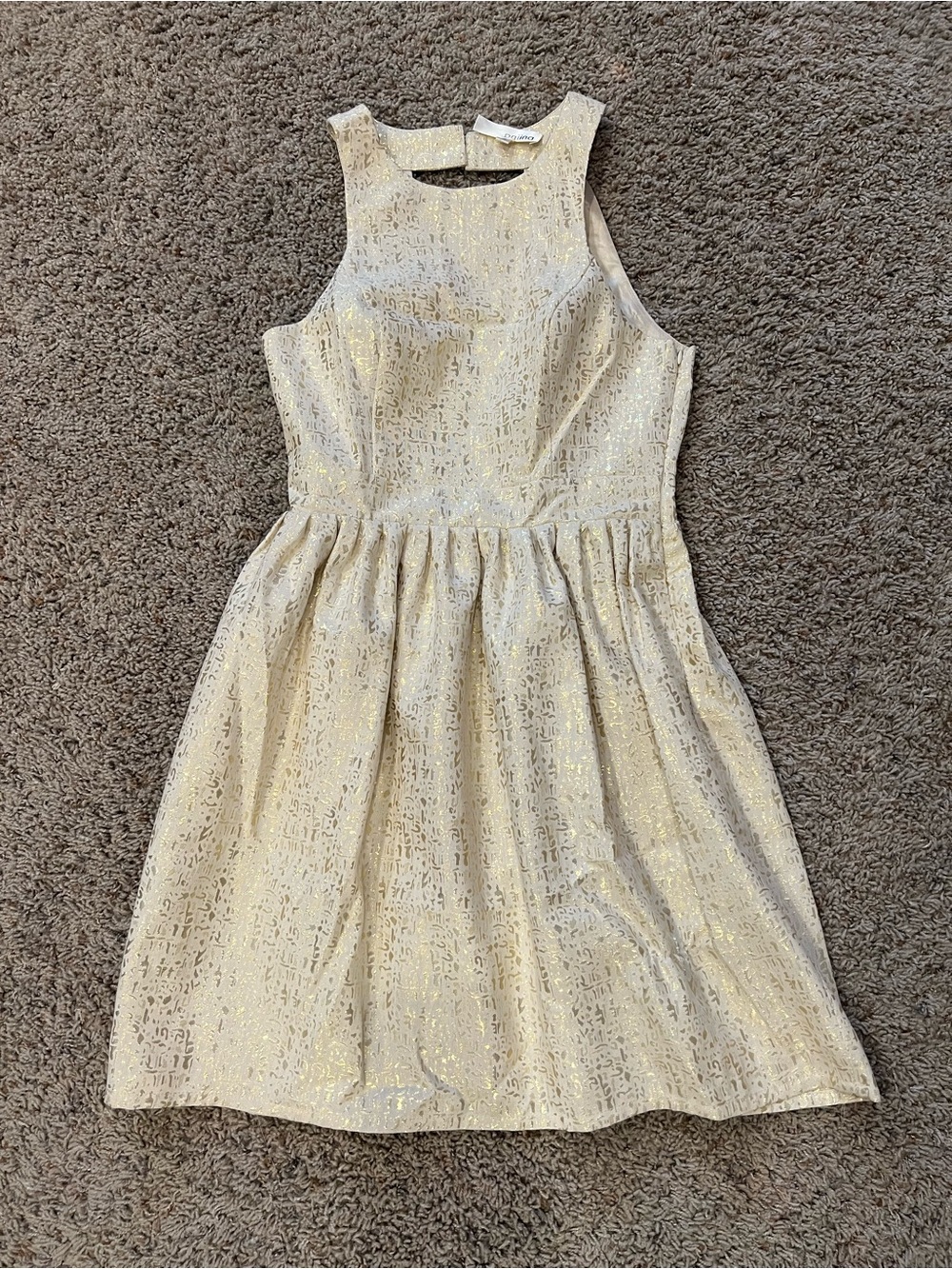 Aniina Ivory Gold Shimmer Party Dress